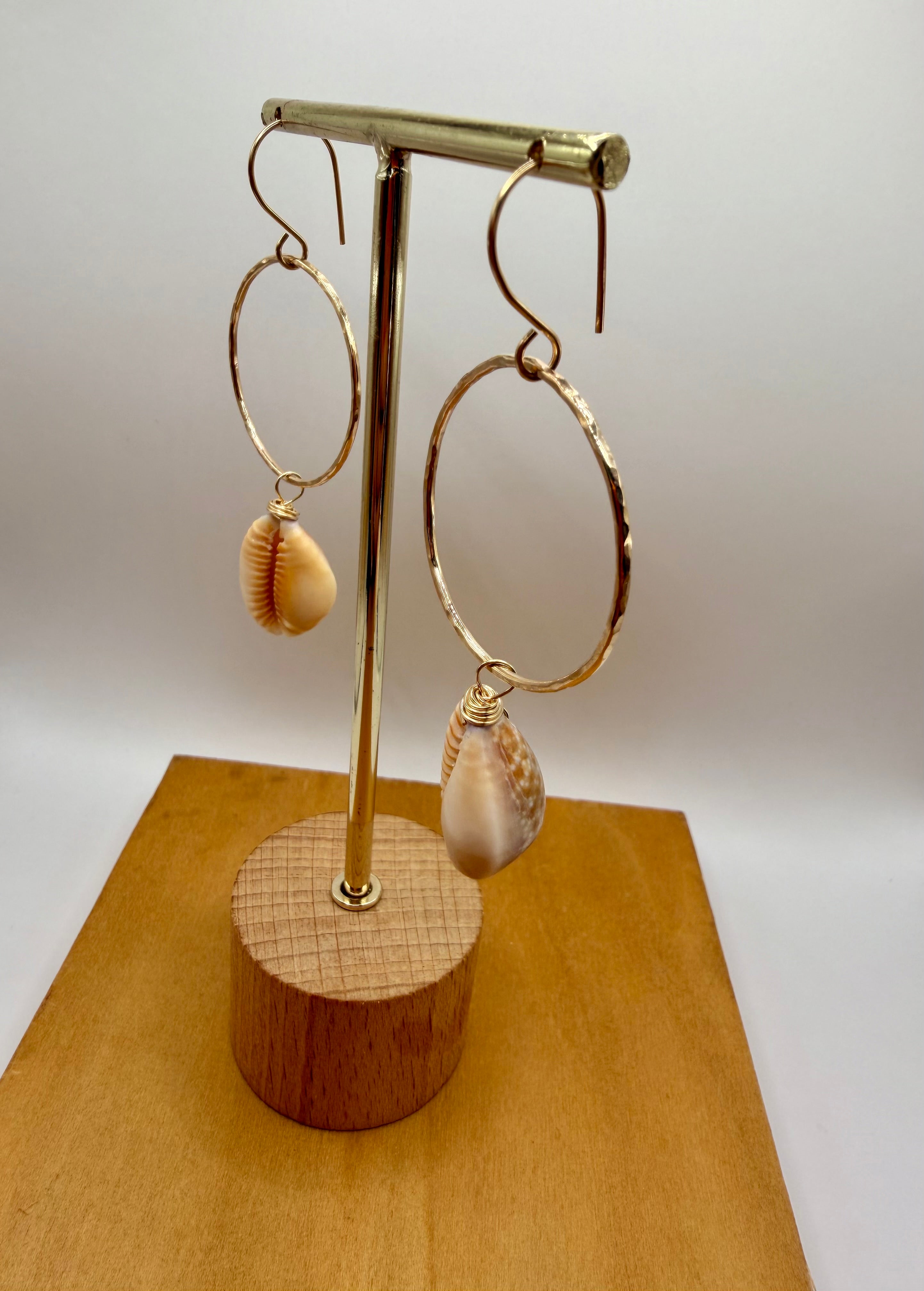Honey Cowrie GF Hoops