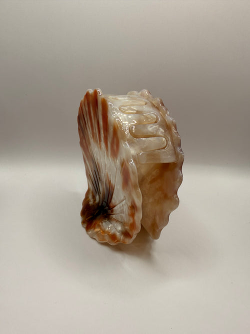 Brown Opihi Claw Clip
